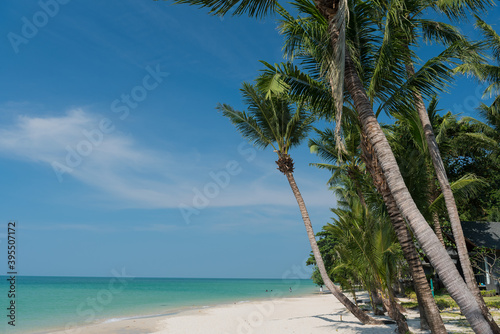 beach and sea, Holiday and vacation, nice tropical beach with palms, White clouds with blue sky 