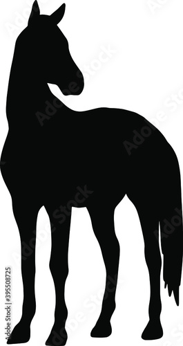 Icon of horse silhouette. Black vector illustration of mustang stallion	
