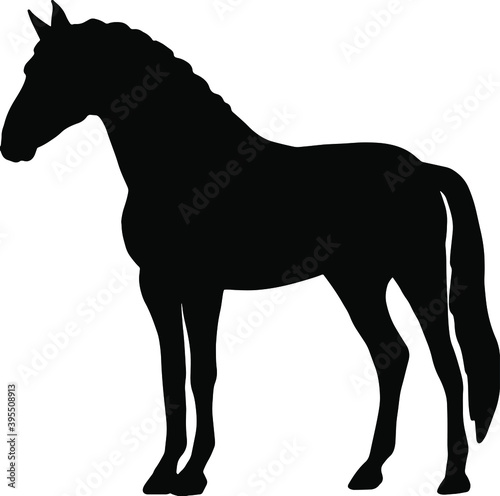 Icon of horse silhouette. Black vector illustration of mustang stallion  