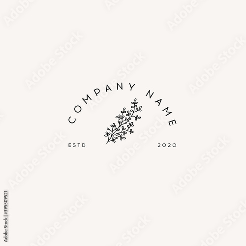 Logotype Mystical branches and leaves. Mystic, alchemy, occult concept.