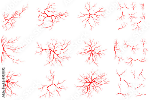 Vein set illustration isolated on white background. Collection of human blood system graphic. Red vessel, arteries design. Anatomical icon group. Vector shape of artery. Eps 10 abstract symbols.