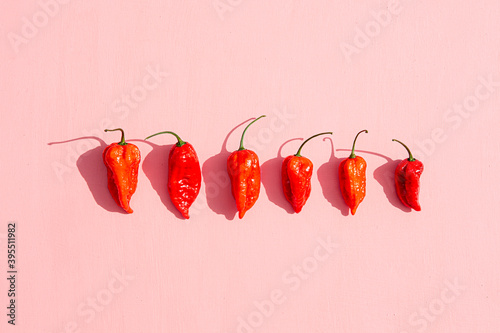 Six fresh red chilli peppers on a pink surface photo