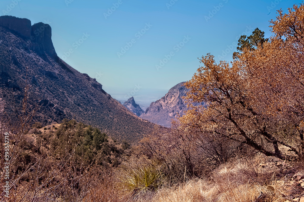 Mountains and valleys, Big Bend National Park, USA