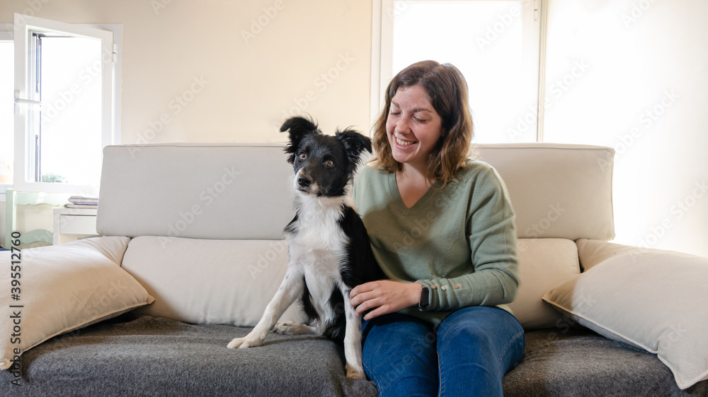 Smiling young woman sitting on the couch hugging a happy border collie puppy. Dog sitting next to young woman Smiling young woman sitting on the couch hugging a happy border collie puppy. Dog sitting next to young woman