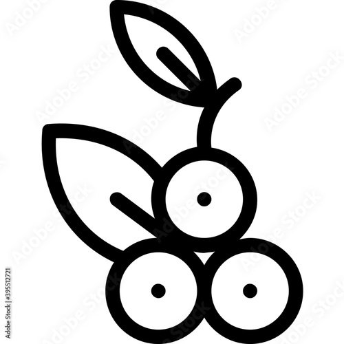 
Cherry Flat Vector Icon 
