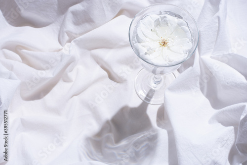 Beautiful white flower, in a glass of water. There is a space for new creations. White background. Romantic composition