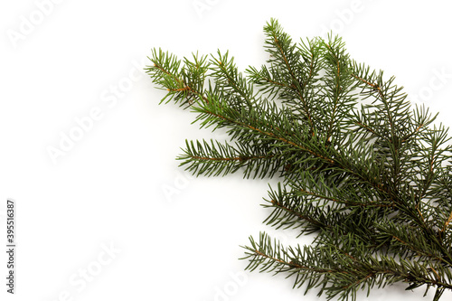 Pine branches isolated on white background  seamless pattern. Christmas and New Year background.
