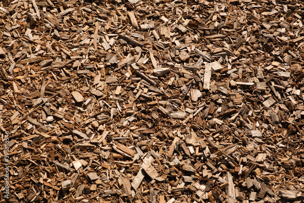 Fresh sawdust from a tree. Close up of a pile of wood chips. Wood shavings, processing. Sawdust wood background from carpentry. Fresh sawdust from a tree. Close up of a pile of wood chips. Wood shavings, processing. Sawdust wood background from carpentry.
