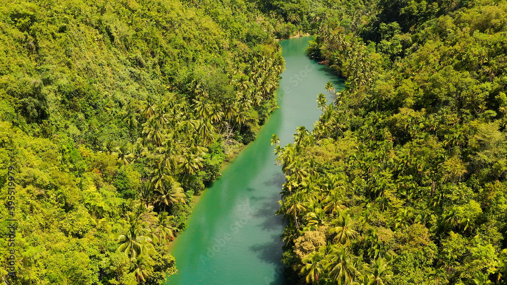 Fototapeta premium Aerial drone of Tropical Loboc river in the rainforest. Mountain river flows through green forest. Bohol, Philippines.