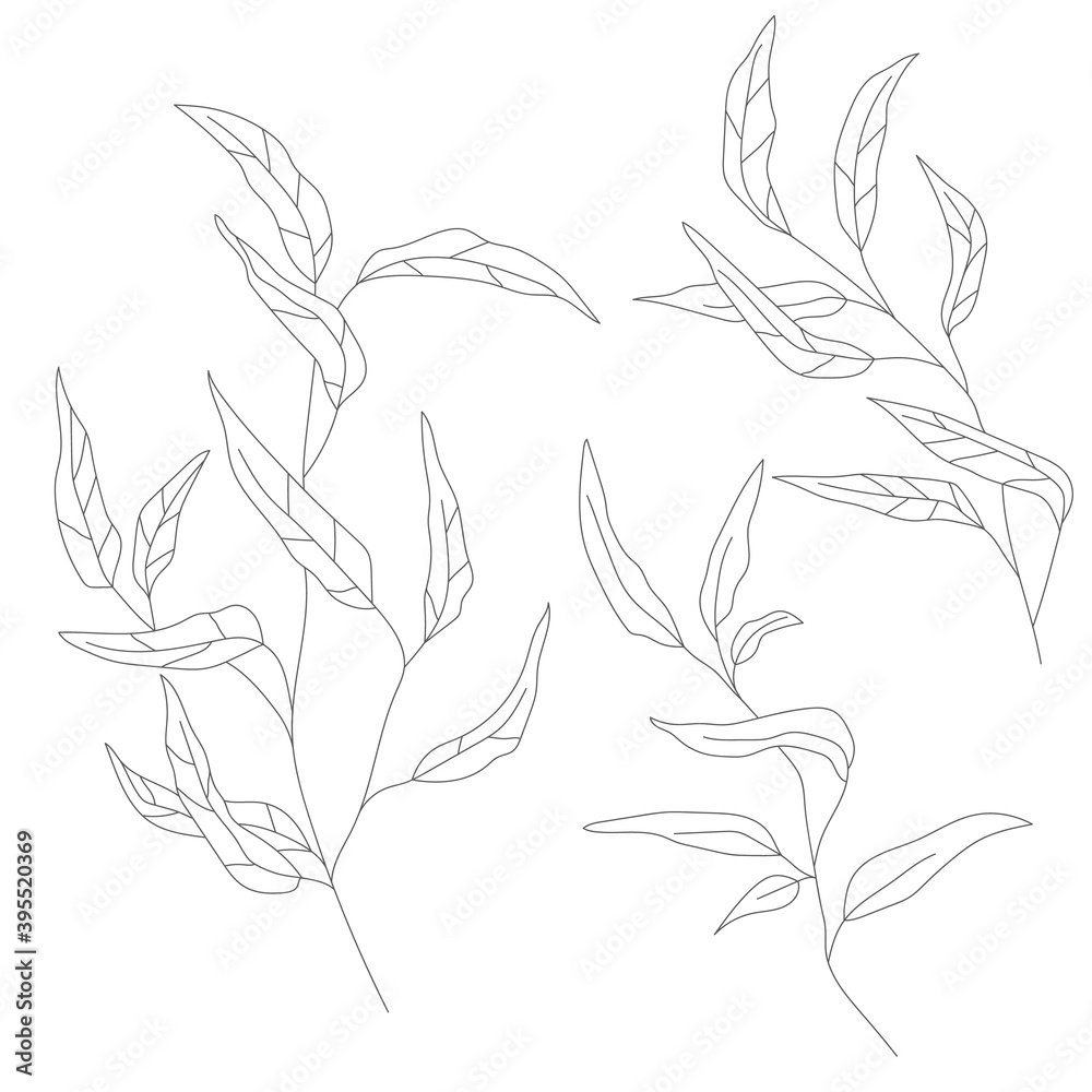 Minimalism line drawing. leaf vector one line art. Botanical Sketch Vector Illustration. Nature vector Line drawing. for home decor such as posters, wall art Minimalism line drawing. leaf vector one line art. Botanical Sketch Vector Illustration. Nature vector Line drawing. for home decor such as posters, wall art