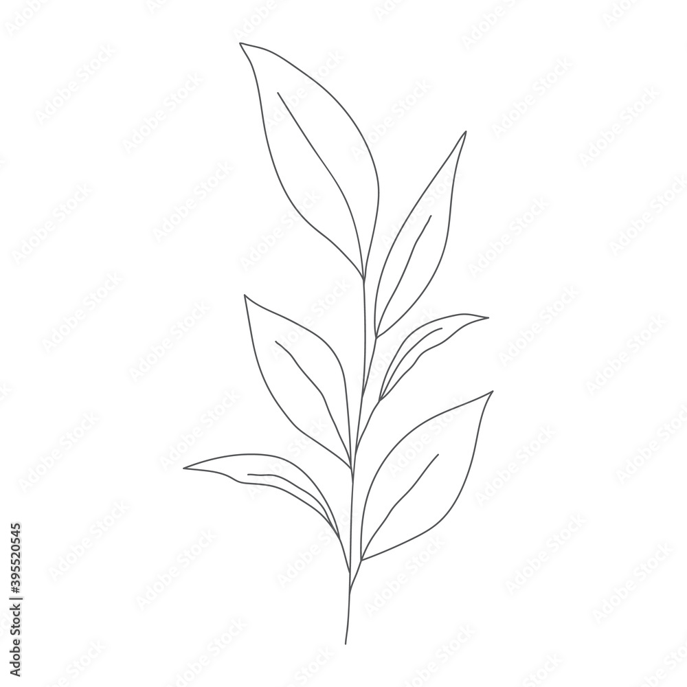 Fototapeta premium Minimalism line drawing. leaf vector one line art. Botanical Sketch Vector Illustration. Nature vector Line drawing. for home decor such as posters, wall art