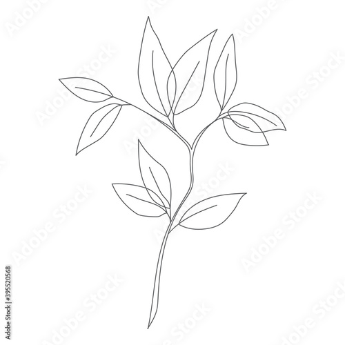 Minimalism line drawing. leaf vector one line art. Botanical Sketch Vector Illustration. Nature vector Line drawing. for home decor such as posters  wall art