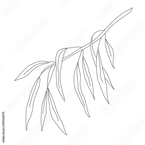 Minimalism line drawing. leaf vector one line art. Botanical Sketch Vector Illustration. Nature vector Line drawing. for home decor such as posters, wall art