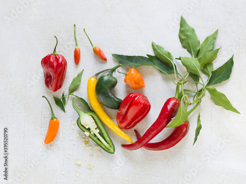 Various types of peppers and chillies photo