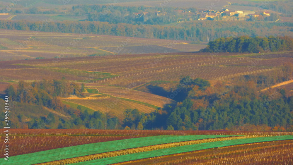 Naklejka premium paysage