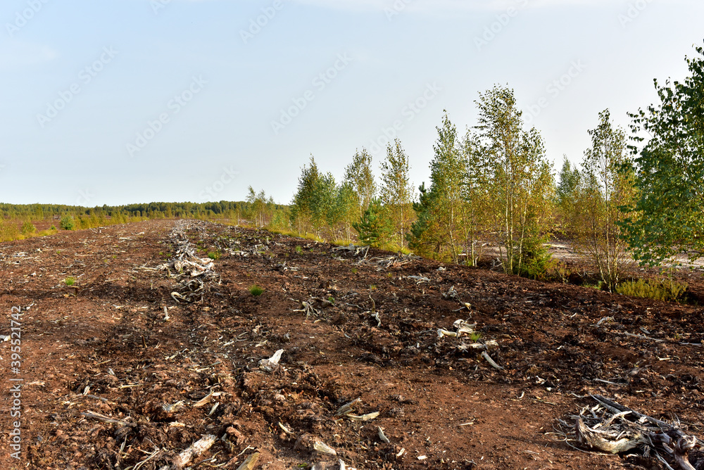 Landscape on peatlands where being development of the peat. Drainage of peat bogs at extraction site. Drilling on bog for oil exploration. Wetlands declining and under threat. Landscape on peatlands where being development of the peat. Drainage of peat bogs at extraction site. Drilling on bog for oil exploration. Wetlands declining and under threat.