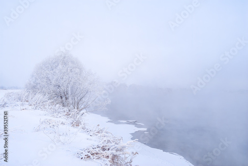 Hoarfrosty trees, Moscow region, Russia