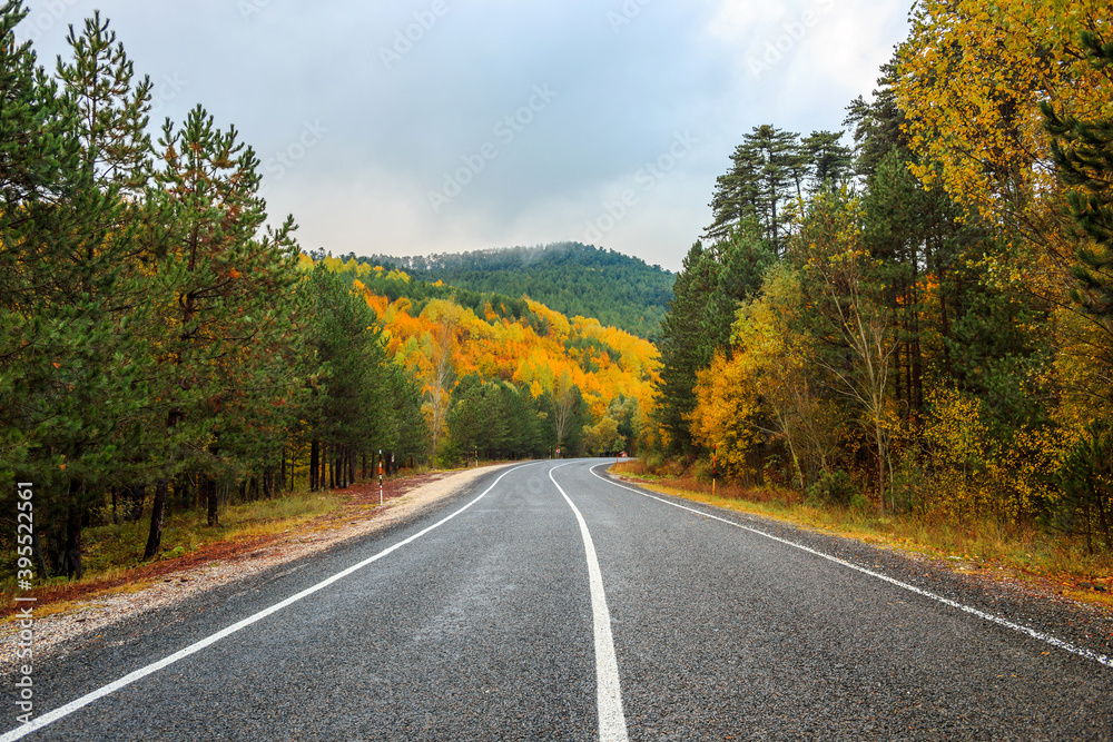 Fototapeta premium autumn in the mountains