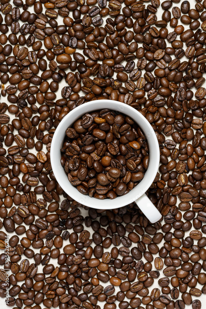 コーヒー豆 コーヒー豆