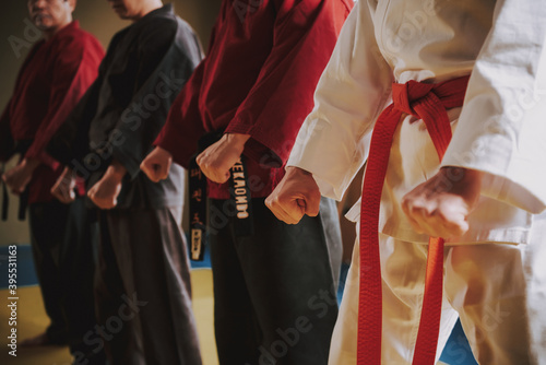 Men in kimono stand with their fists down. 