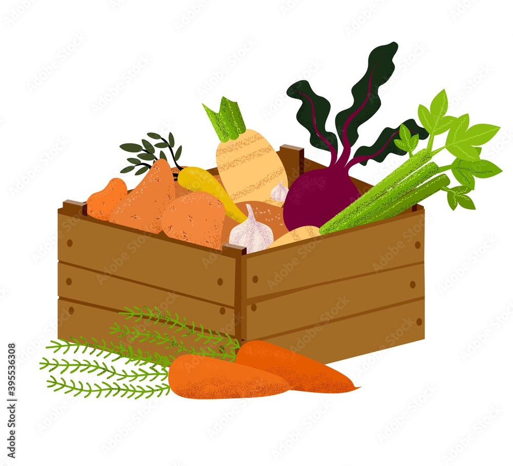 Veggie box with vegetables. Hand drawn healthy eating products. Vegans and vegetarians food, potato, lettuce, beets Veggie box with vegetables. Hand drawn healthy eating products. Vegans and vegetarians food, potato, lettuce, beets