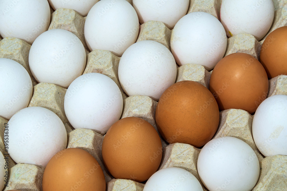 Fresh white and brown chicken eggs in tray. Egg is the main ingredient for cooking Fresh white and brown chicken eggs in tray. Egg is the main ingredient for cooking