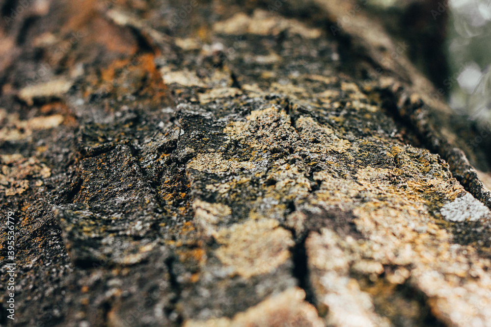 Textures. Things we usually don't notice. Textures. Things we usually don't notice.