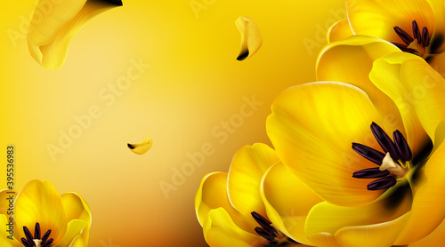Background with yellow tulips, flying petals and copy space for text. Vector template for spring poster or greeting card with realistic flower bouquet. Abstract floral wallpaper with yellow blossoms