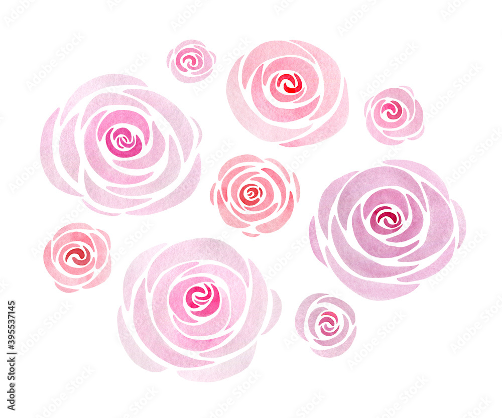 А set of lovely pink roses on white background А set of lovely pink roses on white background