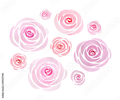   set of lovely pink roses on white background