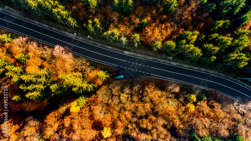 Aerial view of straight forest road in the mountains. Colourful landscape with rural road, trees with yellow leaves at sunset