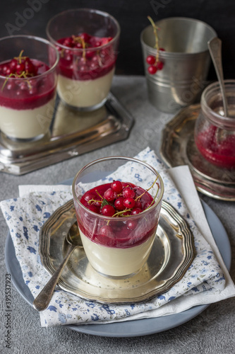 White chocolate panna cotta with redcurrant sauce photo