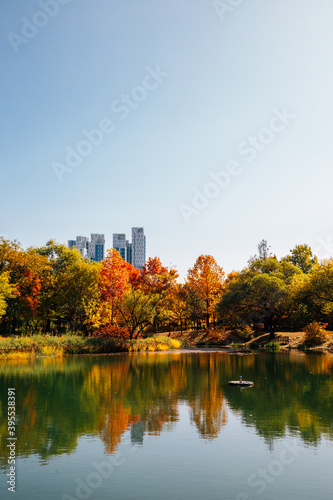 Seoul forest park, pond with autumn colorful trees in Korea © Sanga