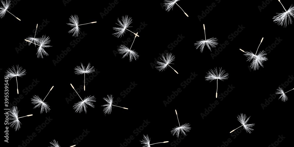 Isolated Dandelions Stock Image In Black Background Isolated Dandelions Stock Image In Black Background