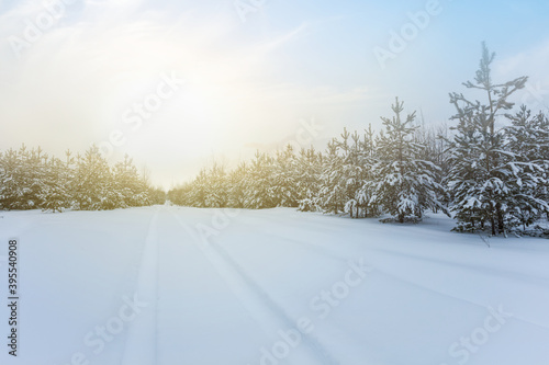 rural road through the winter snowbound forest at the early morning