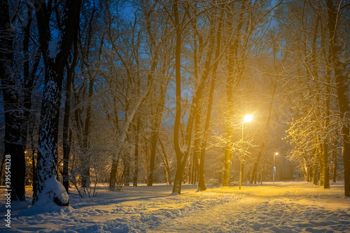 night winter park covered by a snow and lightened by alone lantern