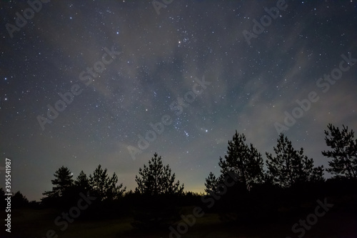 Orion constellation on a night sky above forest silhouette, night outdoor background © Yuriy Kulik