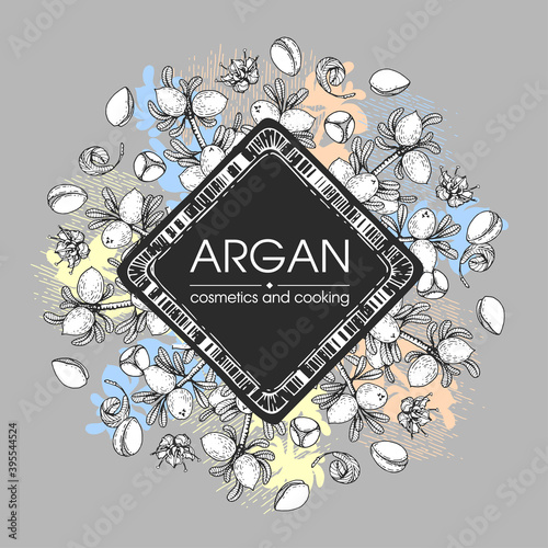 Frame with branch argan tree with fruits, nuts argans, leaves, flower argans Detailed hand-drawn sketches, vector botanical illustration.