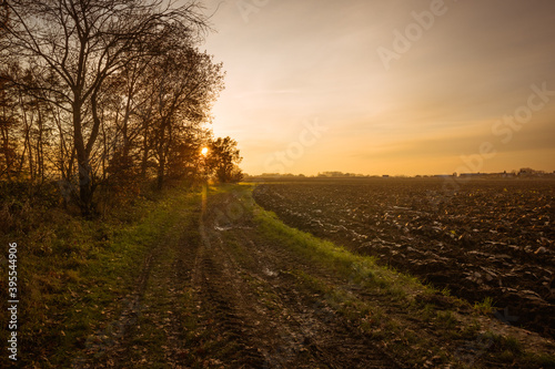 Autumn sunset over deciduous forest and field