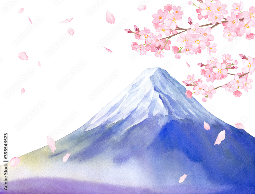 春の花 桜と富士山の景色 水彩イラスト 白背景 Stock Illustration Adobe Stock