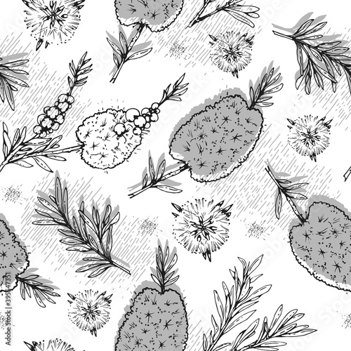 Seamless Pattern with branches with leaves and flowers of tea tree . Detailed hand-drawn sketches, vector botanical illustration.