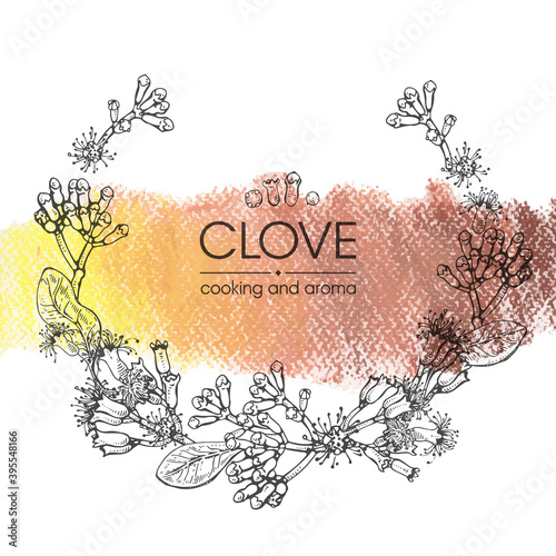 Frame with branches of a carnation tree with leaves, buds and flowers . Detailed hand-drawn sketches, vector botanical illustration.