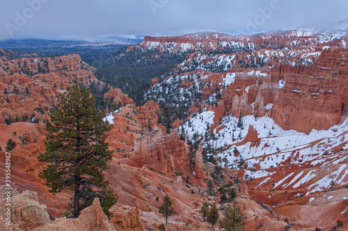 Winter landscape of the hoodoos of Bryce Canyon National Park, Utah, USA 