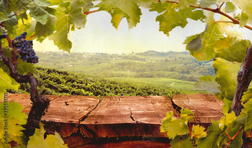 View over wooden table in olive Autumn vineyard photo