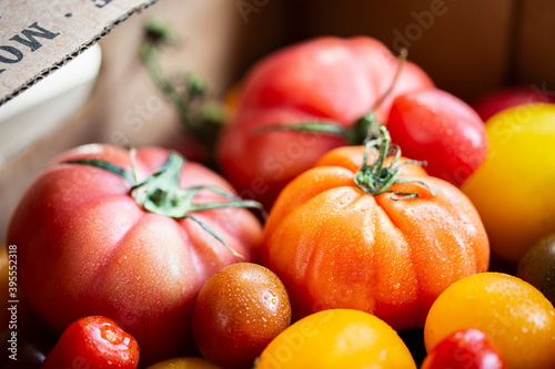 Various types of tomatoes photo