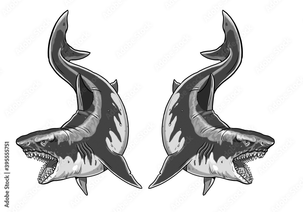 Giant sharks. Big shark drawing. Monster megalodon illustration. Stock  Illustration