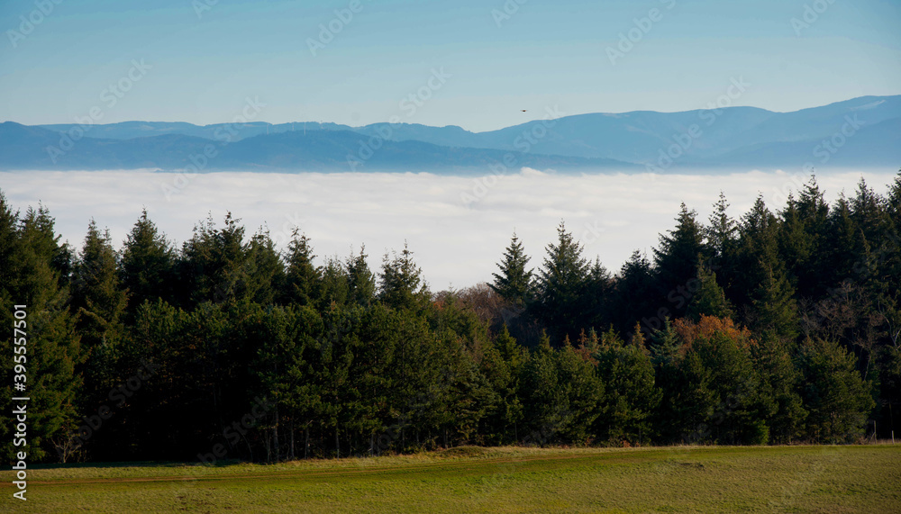 Fototapeta premium Blick vom Badberg im Kaiserstuhl in die nebelige Rheinebene