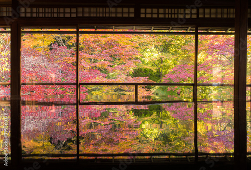 秋の瑠璃光院