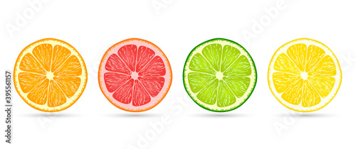 Citrus fruit slices of orange, grapefruit, lime and lemon isolated on a flat white background with shadows underneath, vector illustration