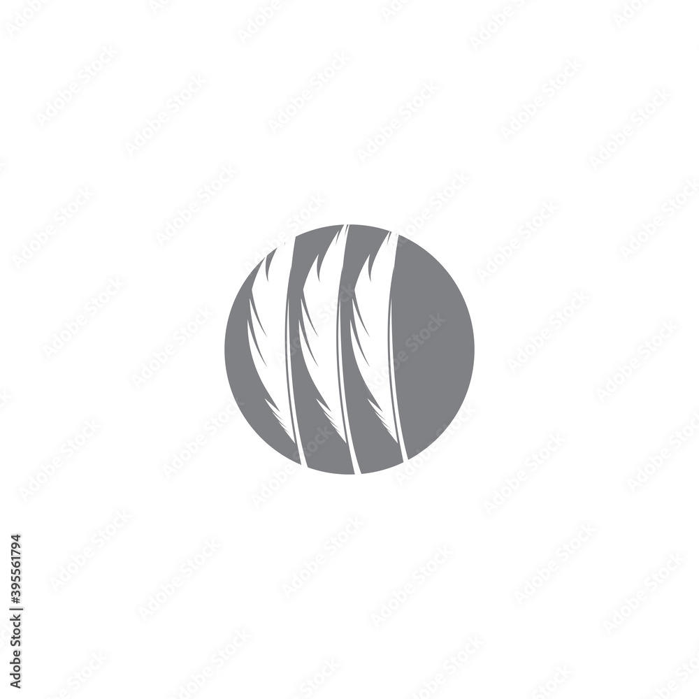 Feathers Logo Template vector symbol